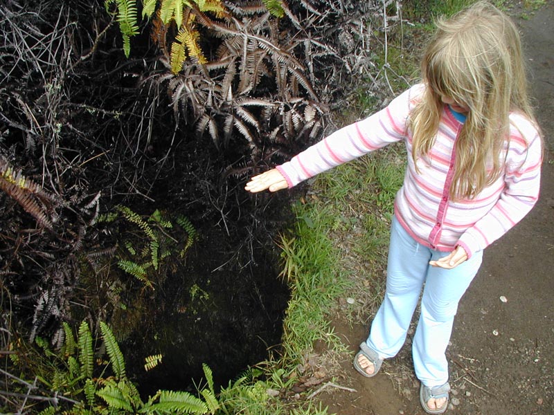 7-hawaii-volcano-pa0020236