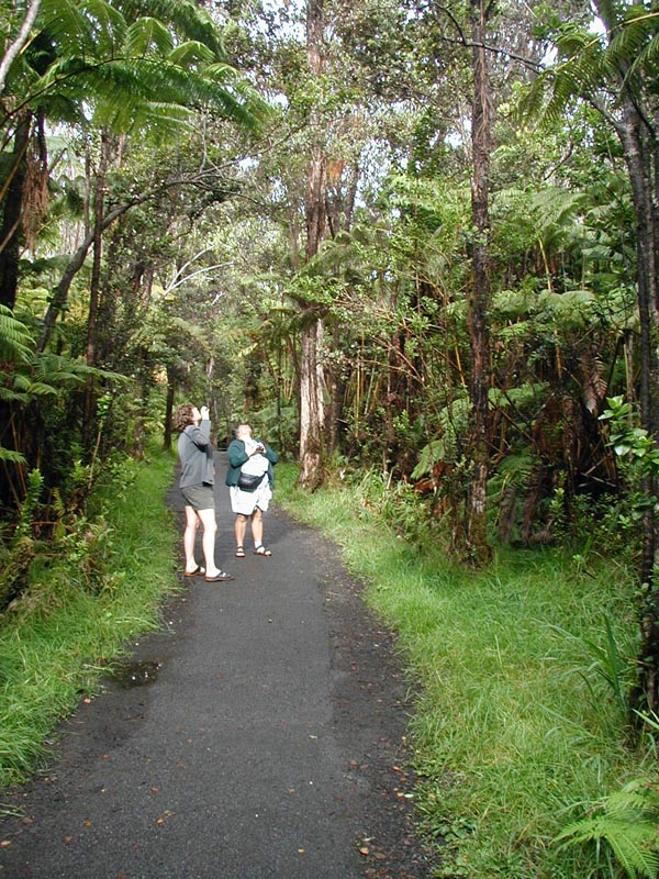 7-hawaii-volcano-pa0020292