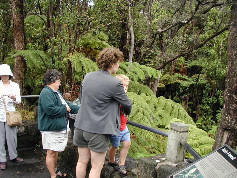 7-hawaii-volcano-pa0020294